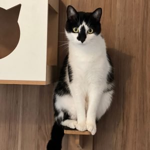 46681d6a-7a42-4d99-8560-64db482c66aa